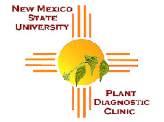 Plant Diagnostic Clinic